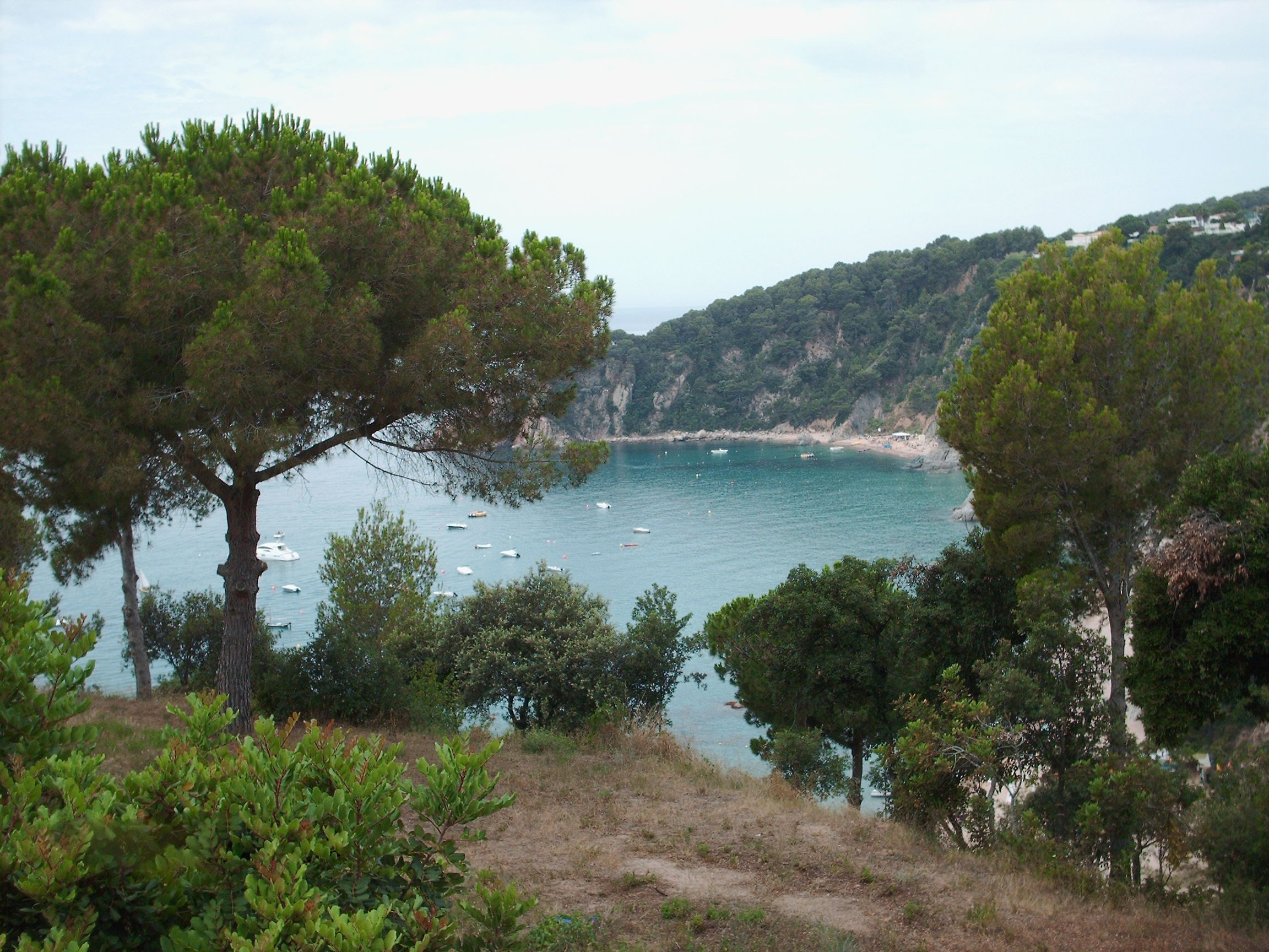 Camping Cala Llevadó
