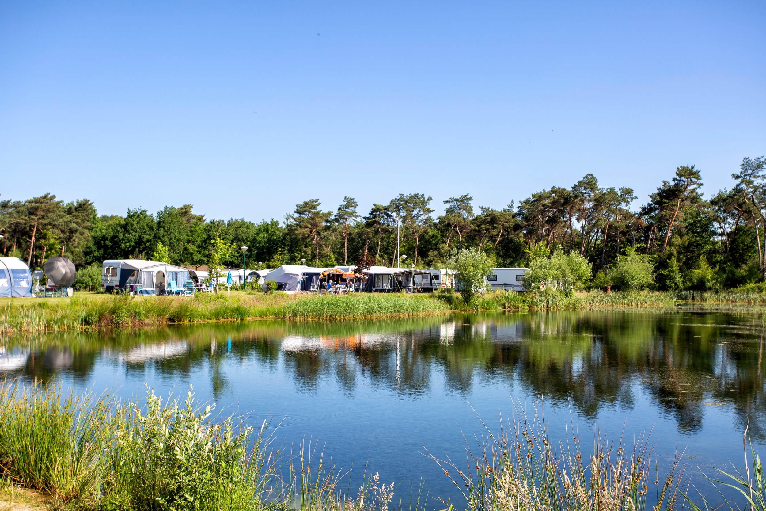 camping ParcCamping de Witte Vennen