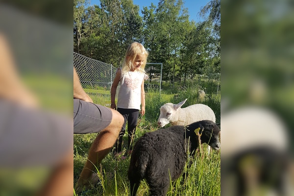 A35 Sindal Camping Danmark & Kanoudlejning