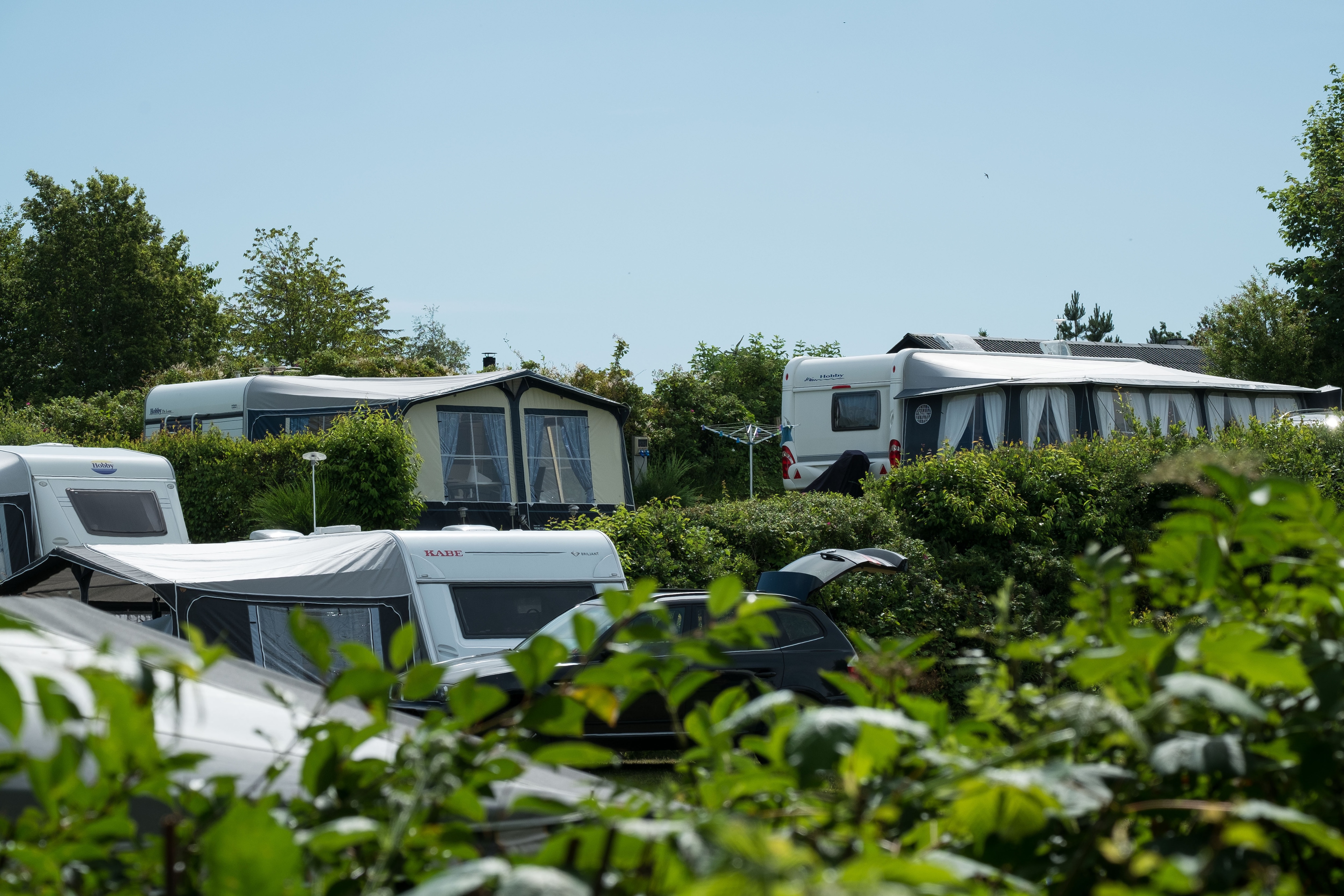 Dalgård Camping