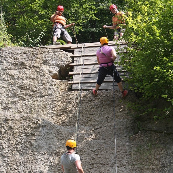 ArdenParks Petite Suisse