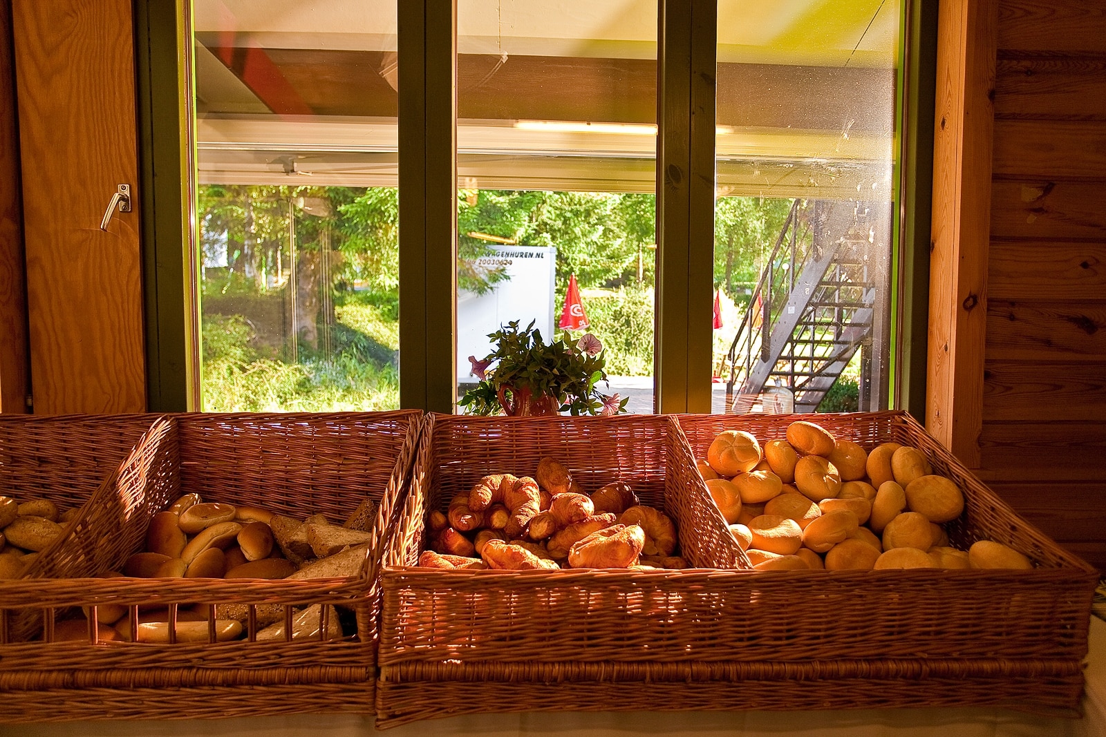 ArdenParks Petite Suisse