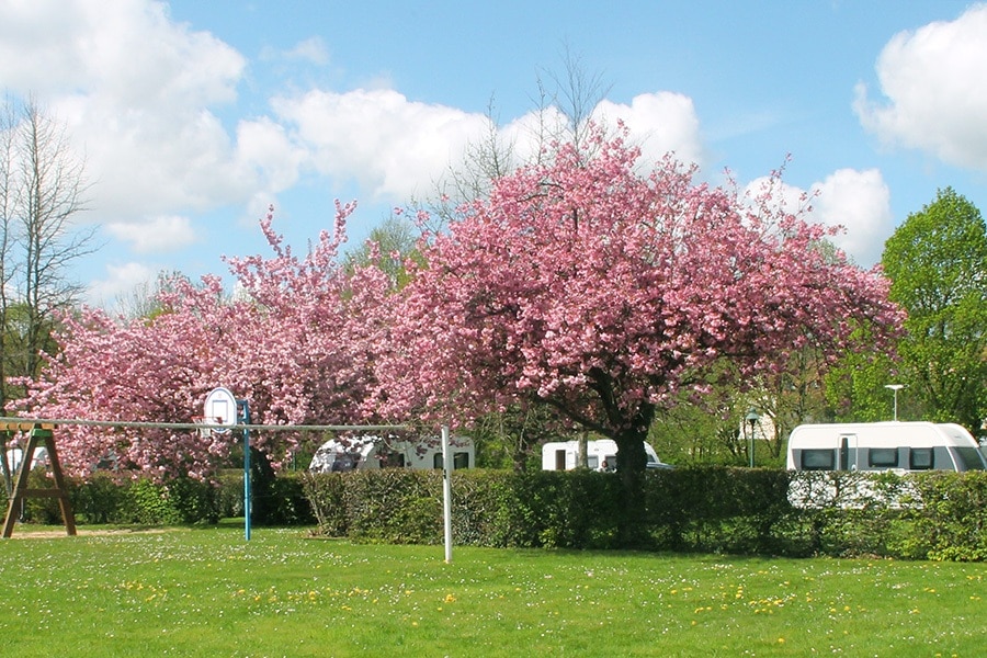 Camping Le Bois des Pêcheurs