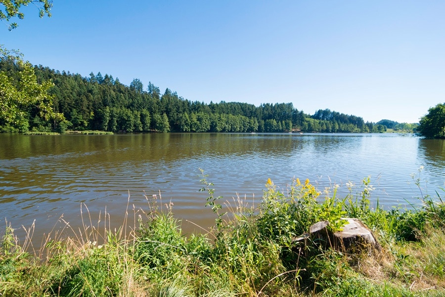 Camping Le Lac des Sapins