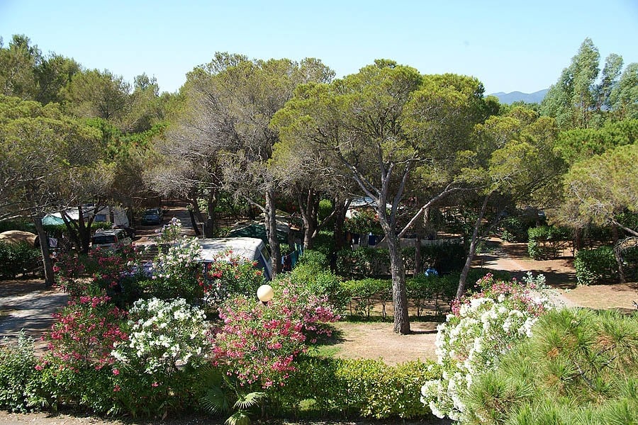 Camping La Baume/La Palmeraie