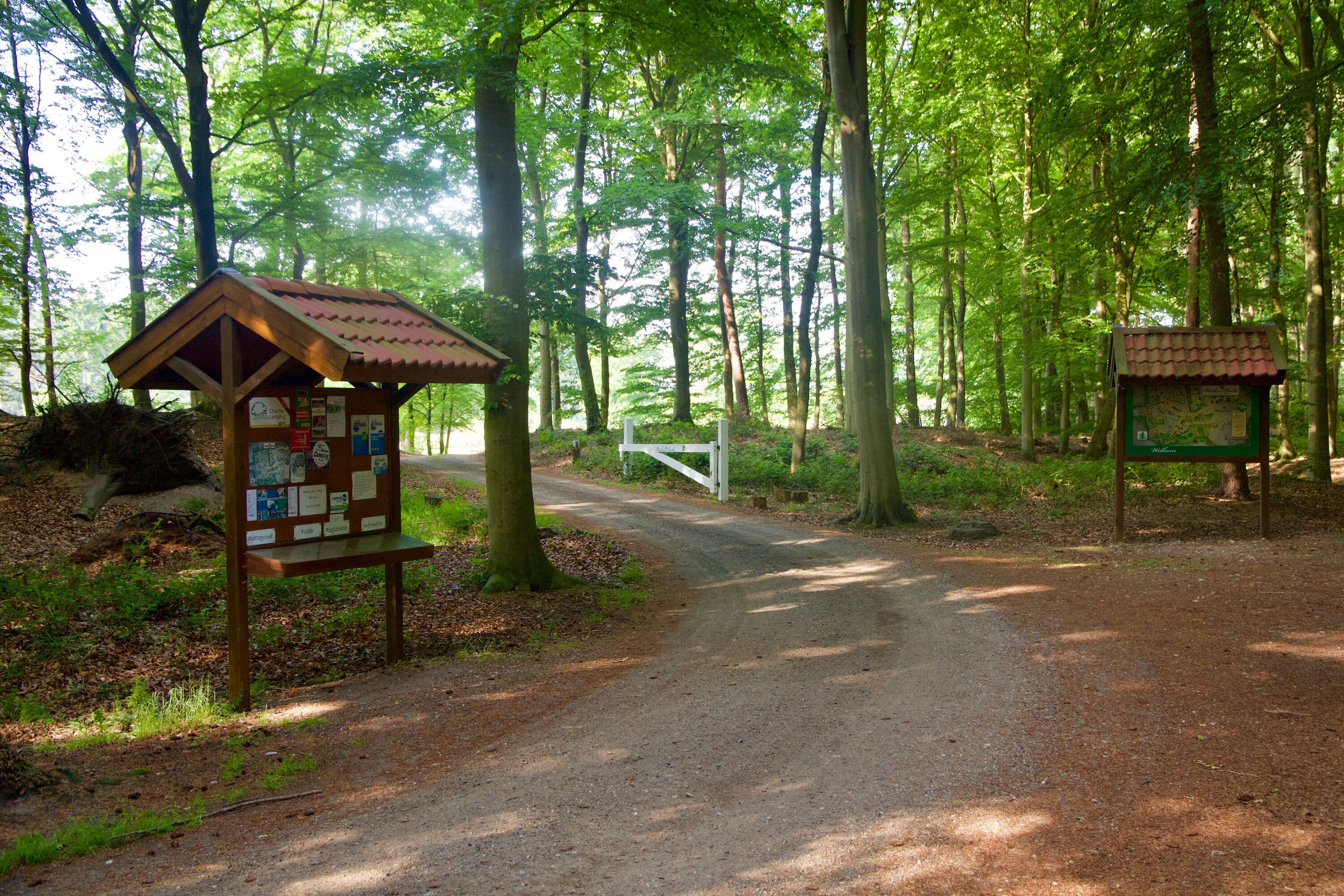 Camping Landgoed Börkerheide