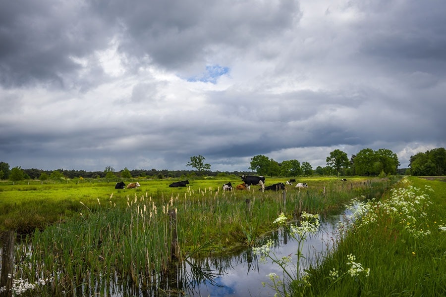 Camping de Pallegarste