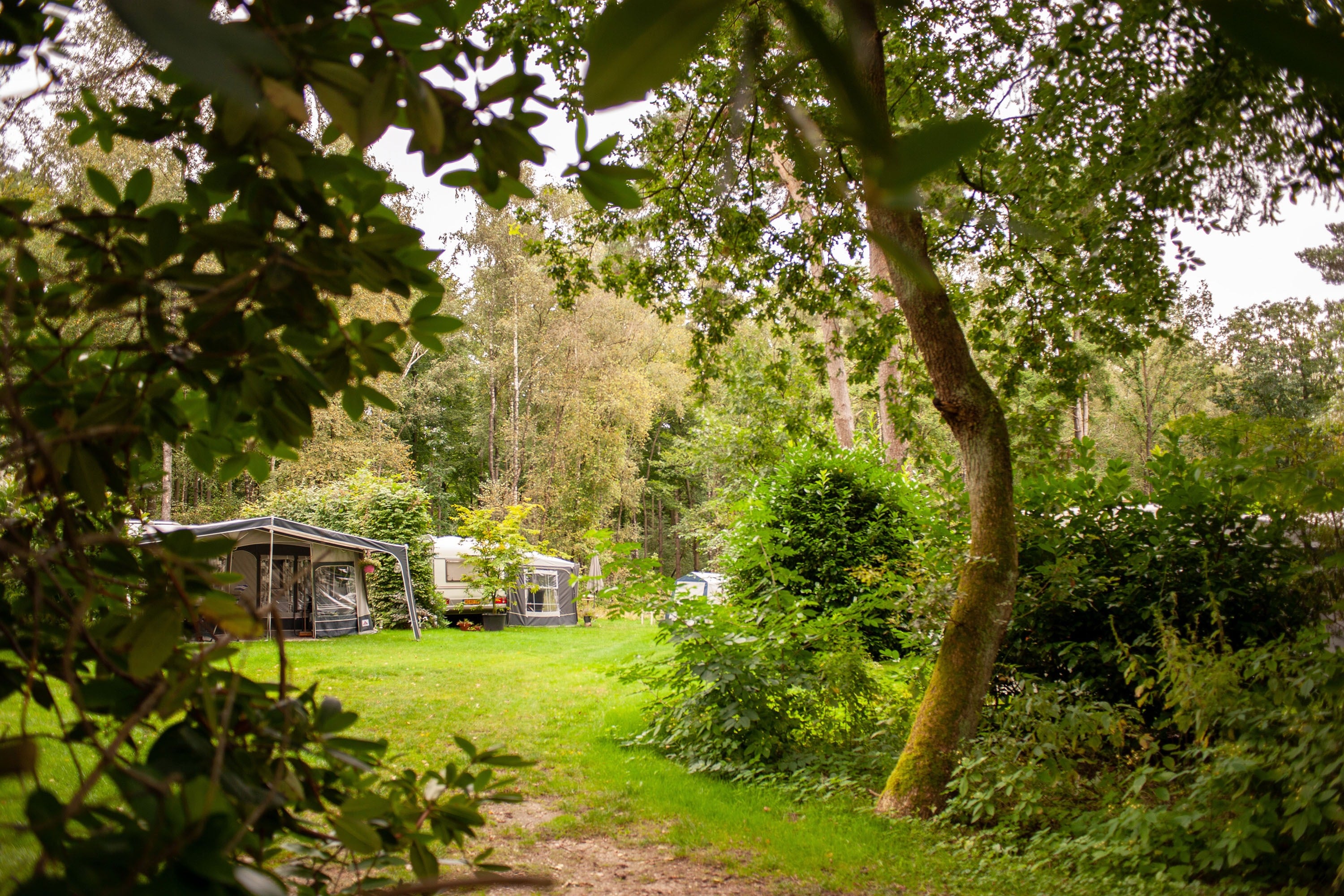Camping De Rimboe