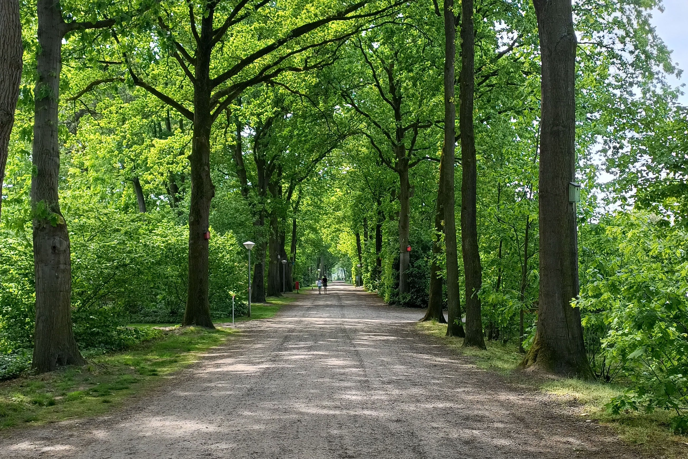 Camping De Kienehoef