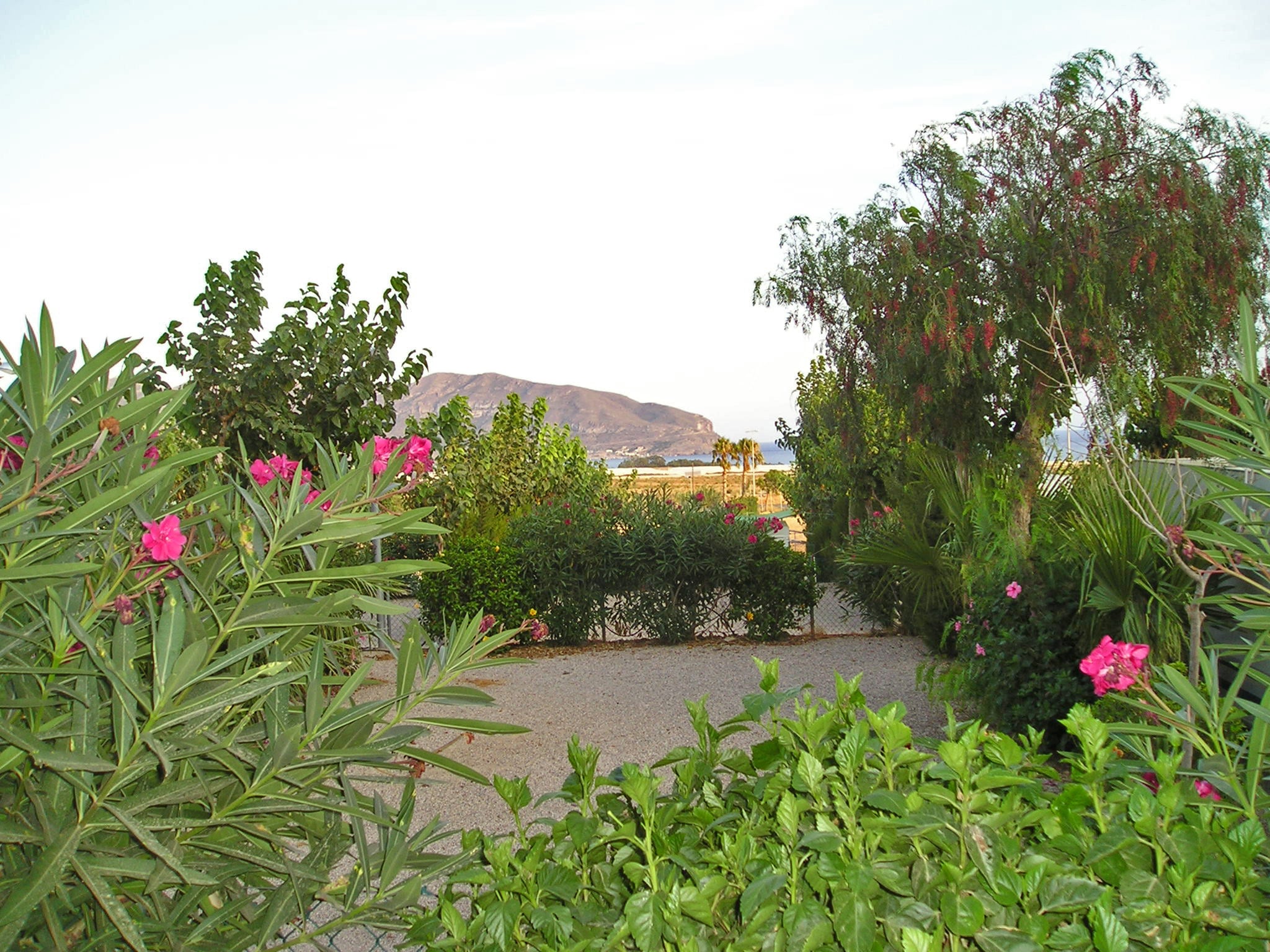 Camping Los Madriles