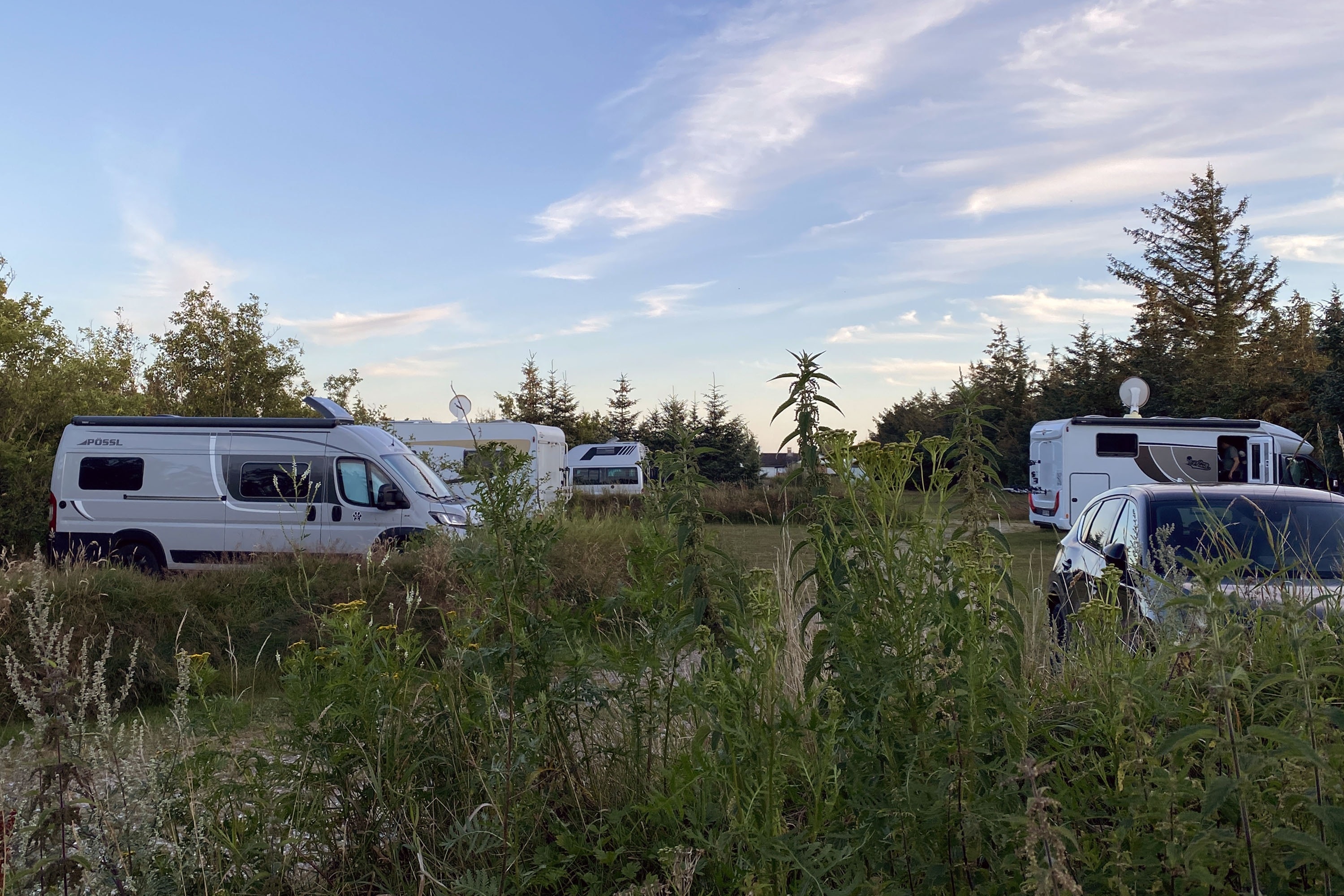 Blokhus Natur Camping