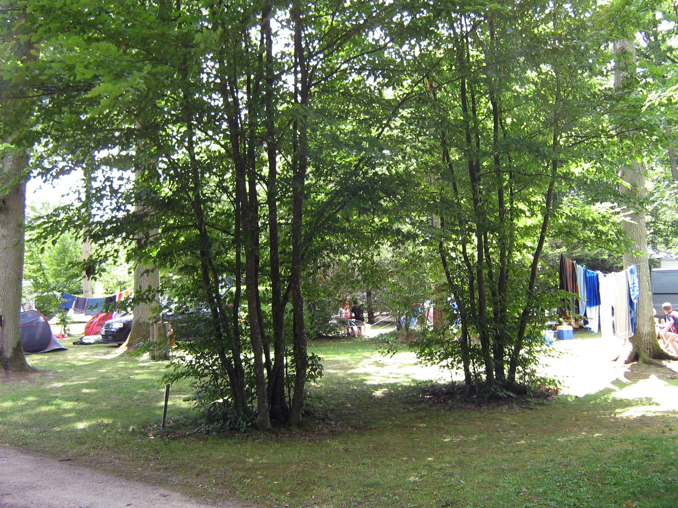 Camping Les Bois du Bardelet