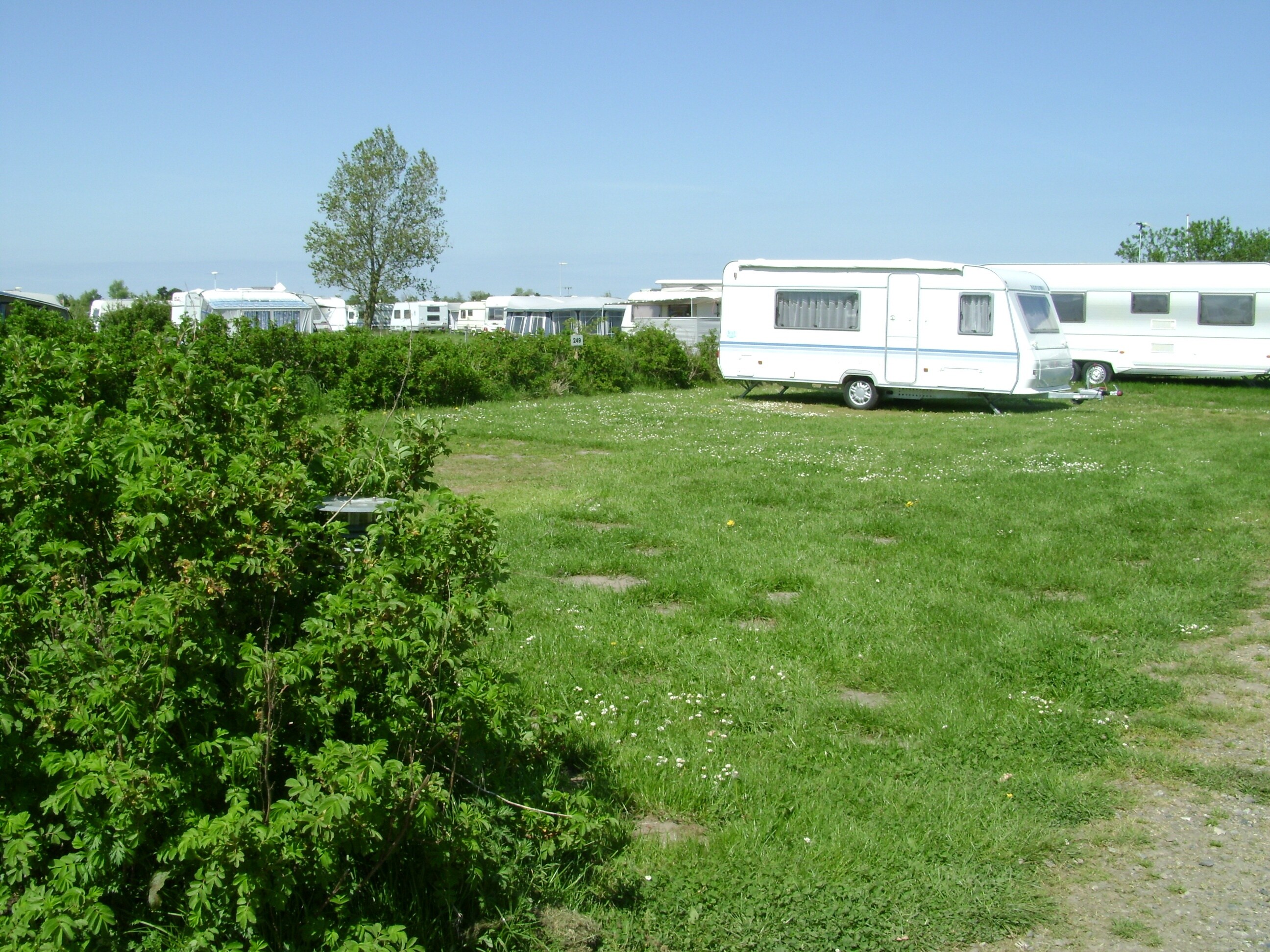 Vikær Strand Camping