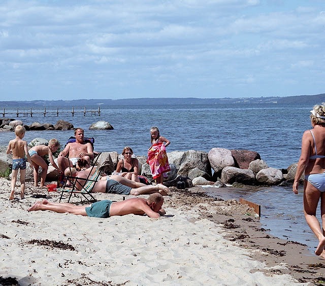 Dancamps Trelde Næs