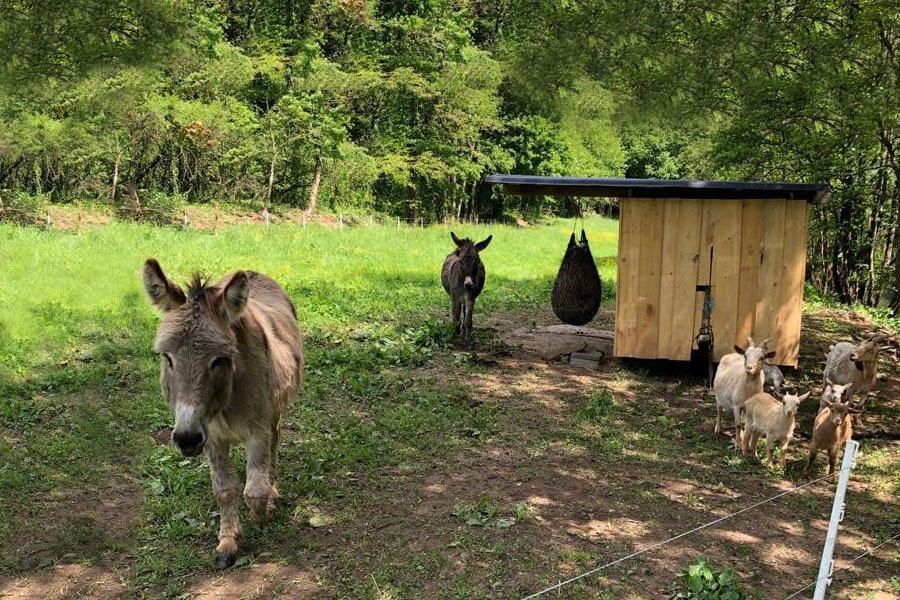 Camping Südeifel