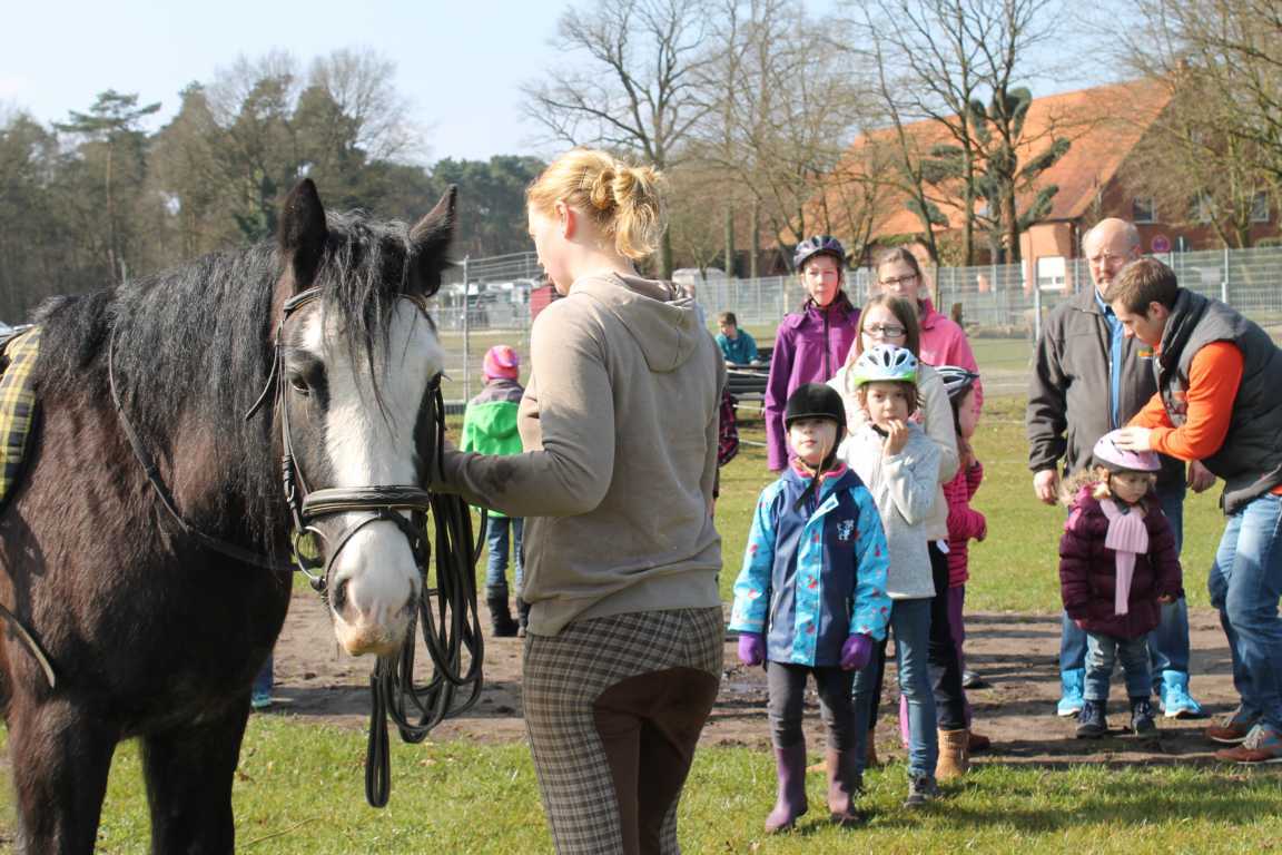 Camping Münsterland Eichenhof