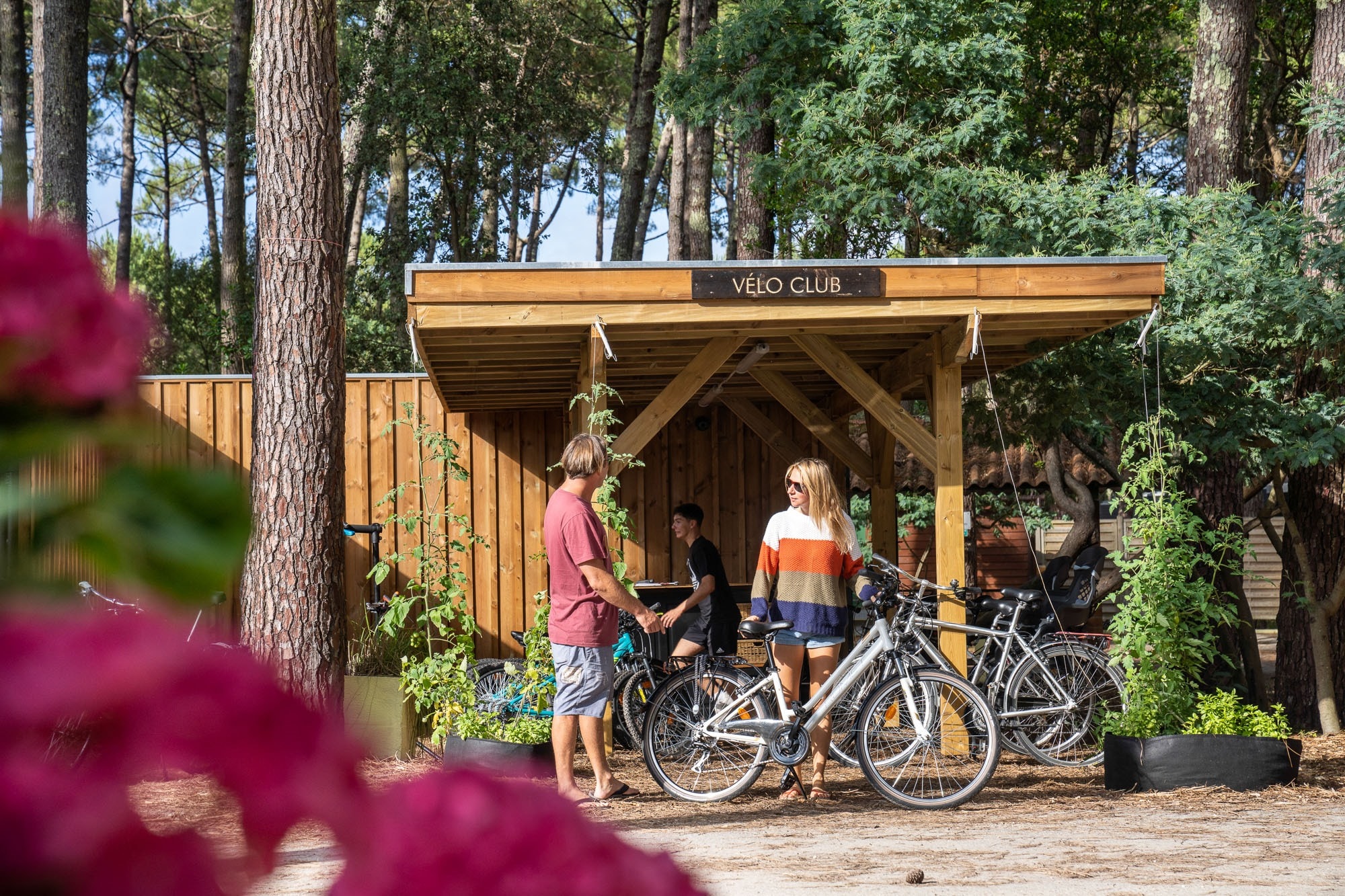 Camping le Tedey
