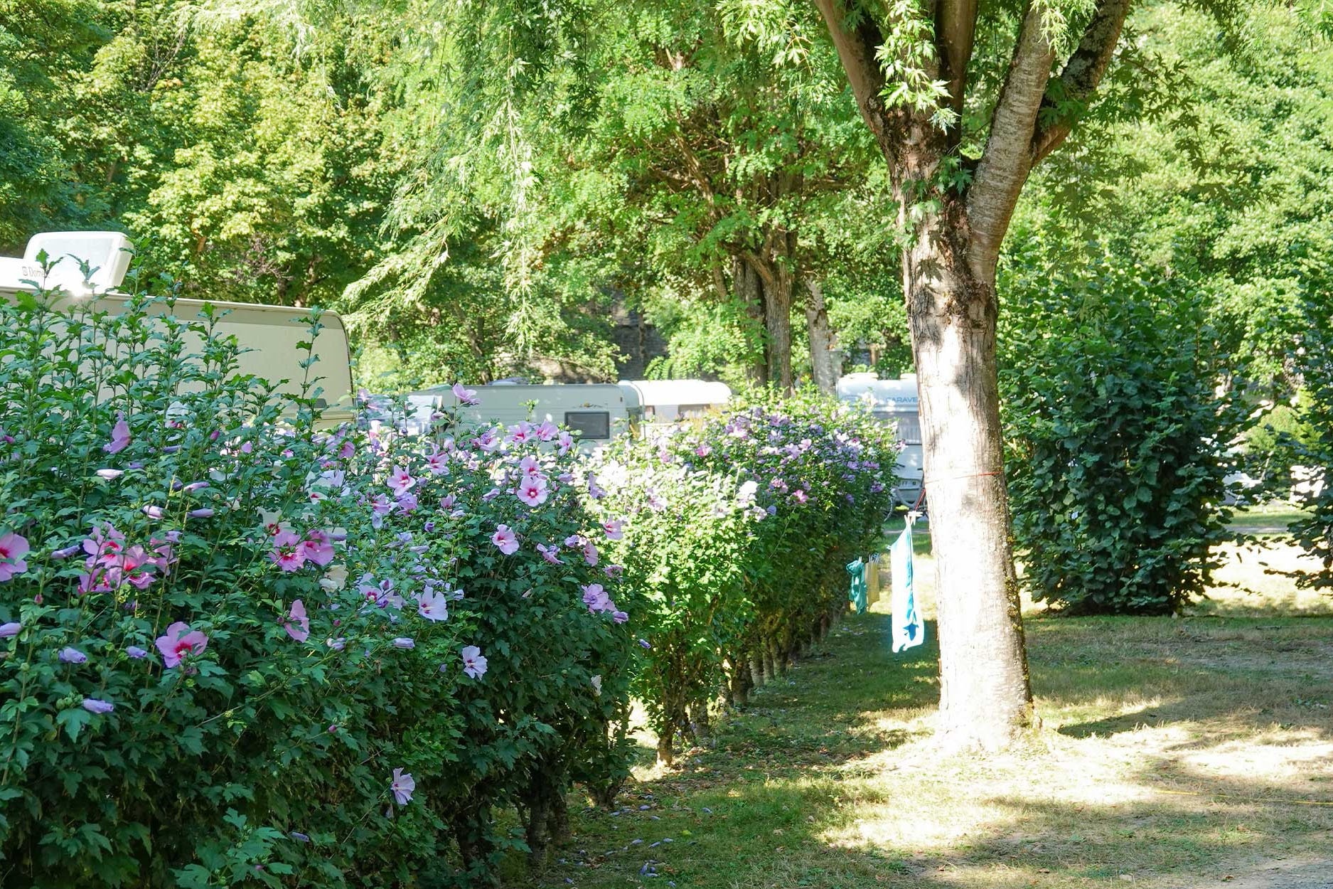 Camping Pradelongue