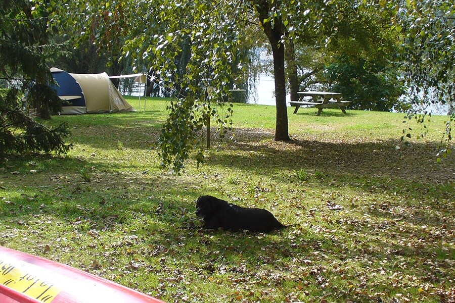 Camping Floiras