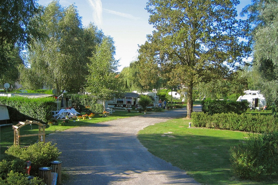 Camping du Vivier aux Carpes