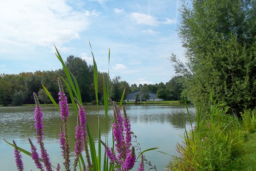 Camping de l'Aigrette