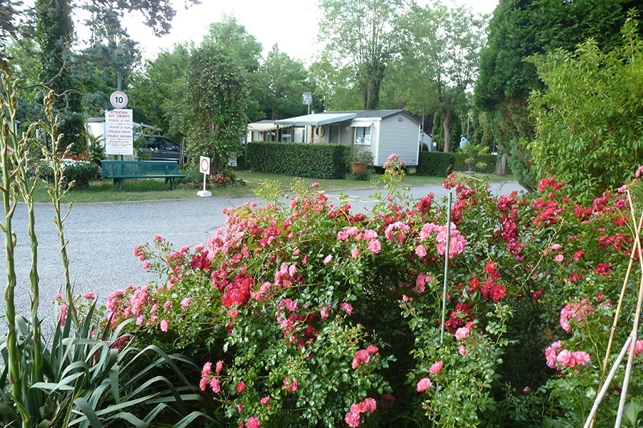 Camping Les Acacias au Bord du Lac