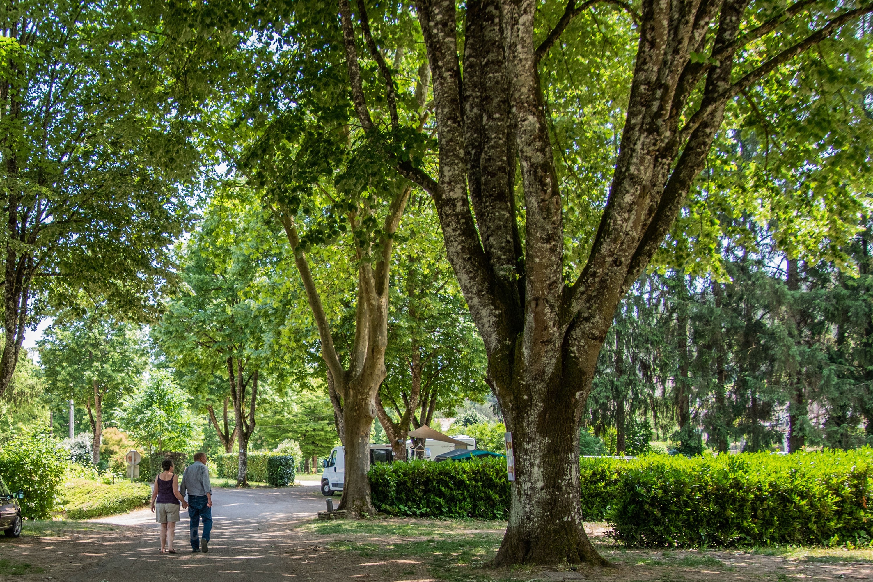 Camping Les Premières Vignes Onlycamp