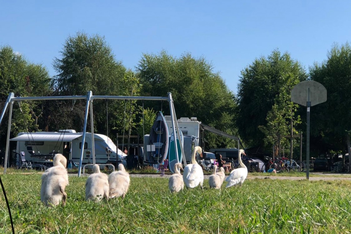 Camping Le Solitaire du Lac