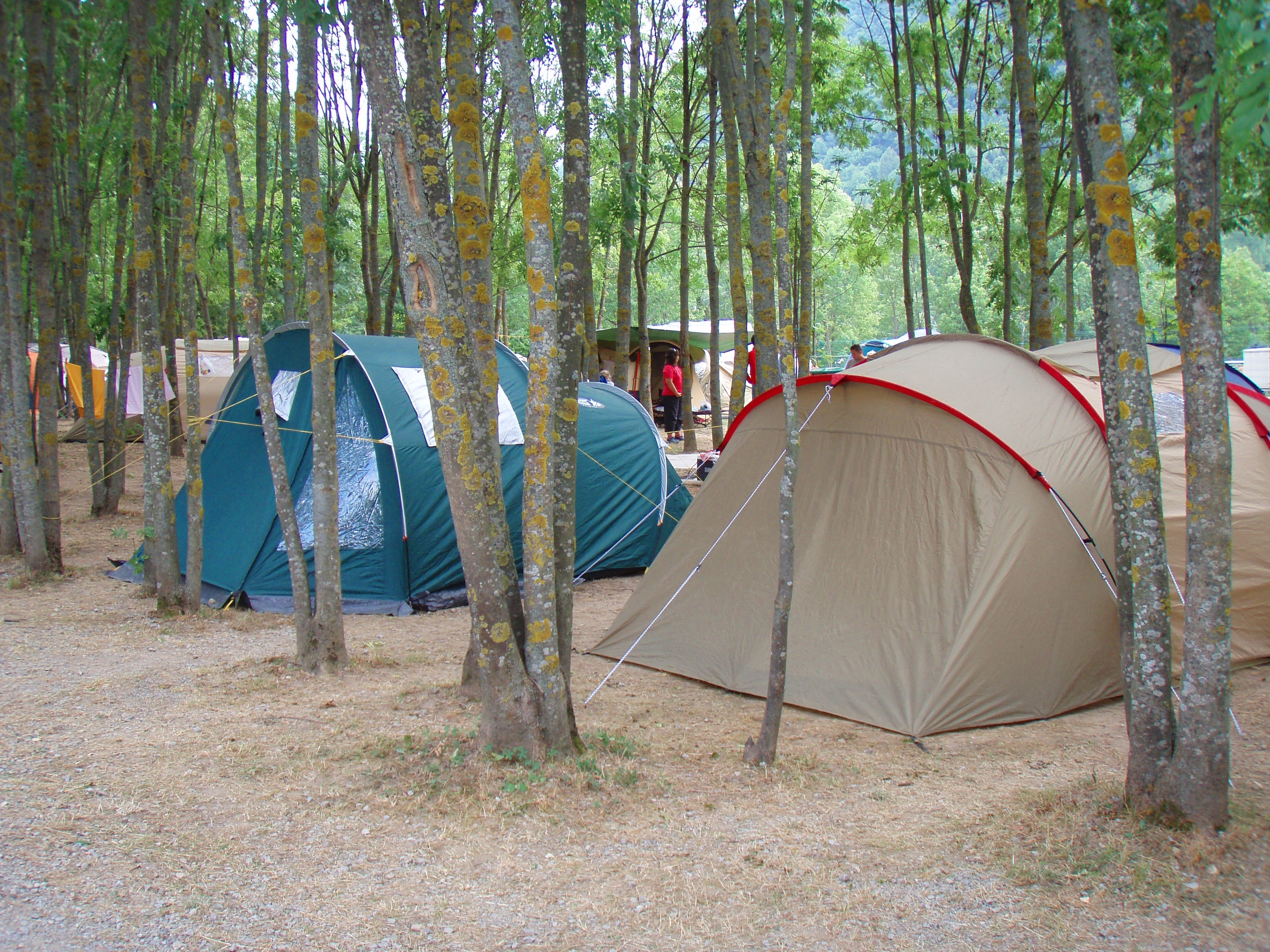 Campeggio Valle Gesso