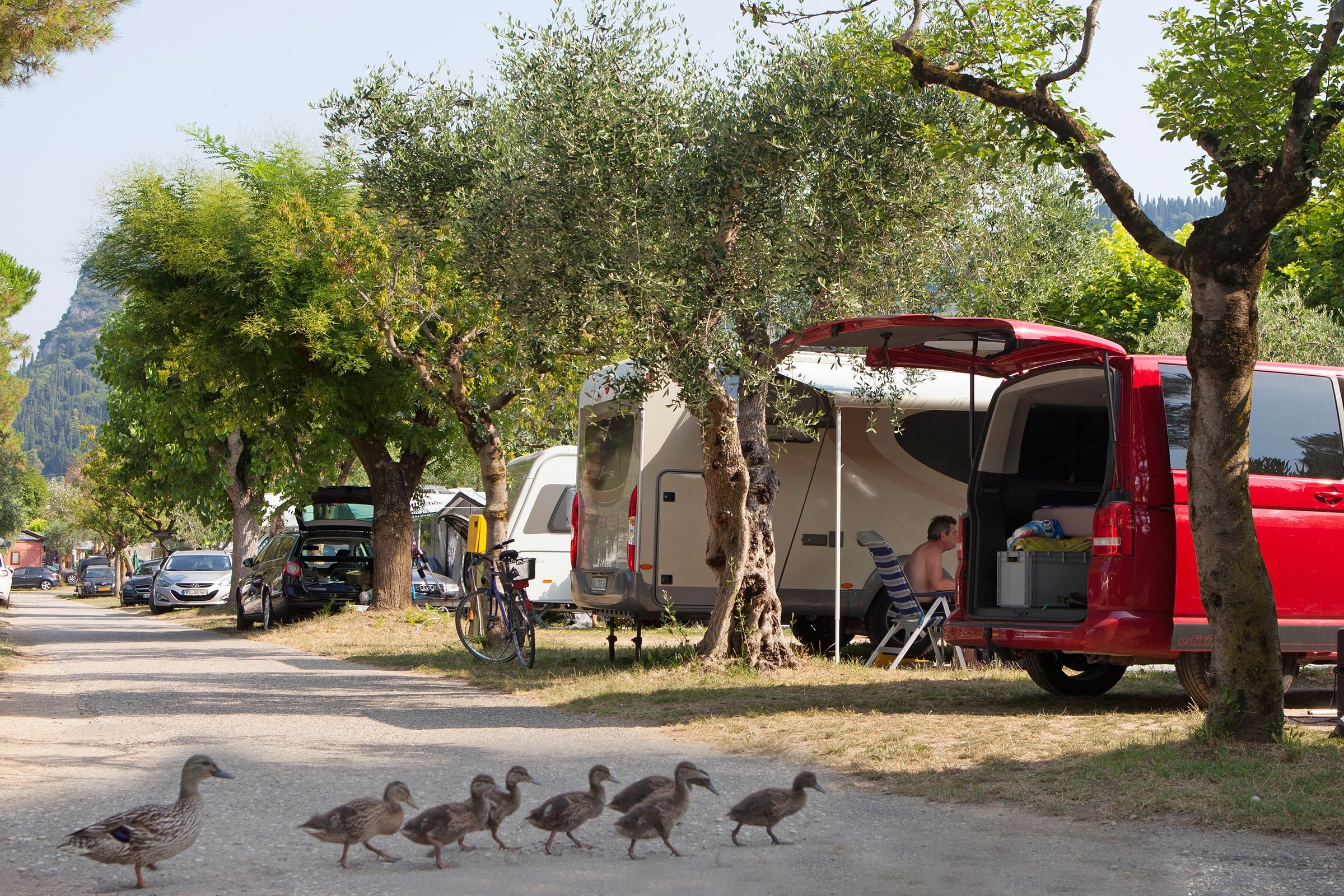 Camping Serenella