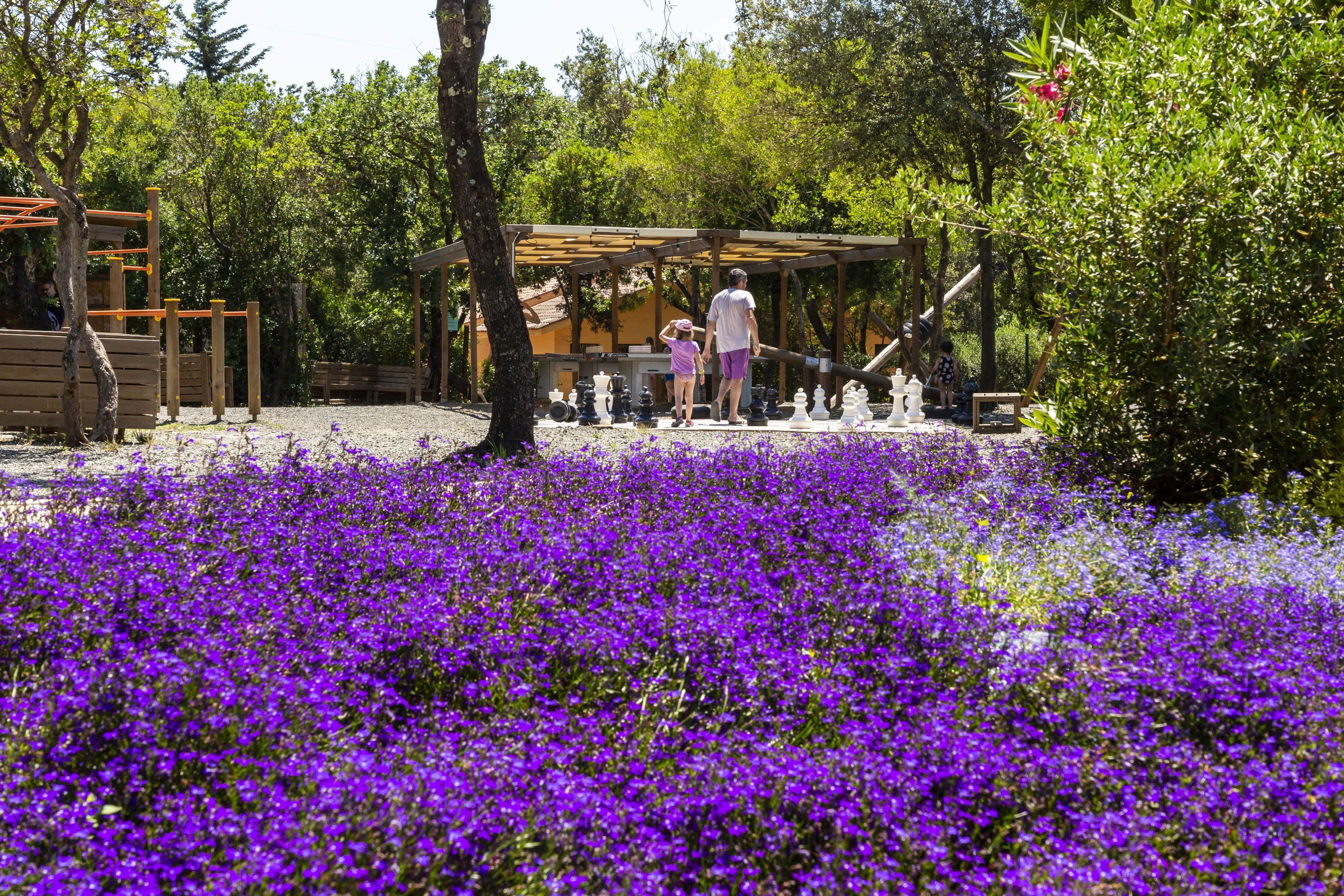 hu Montescudaio Village