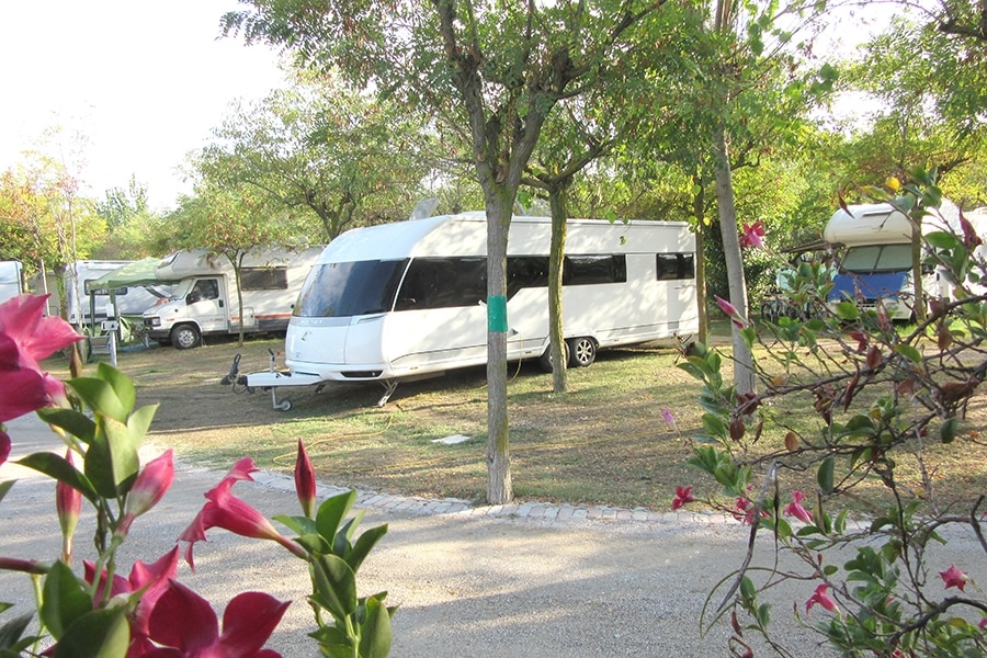 Pineto Beach Village & Camping