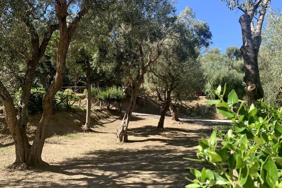 Village Camping Santa Fortunata
