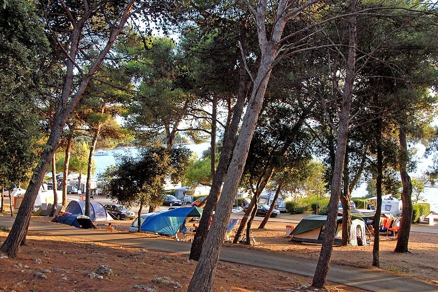 Arena Indije Campsite