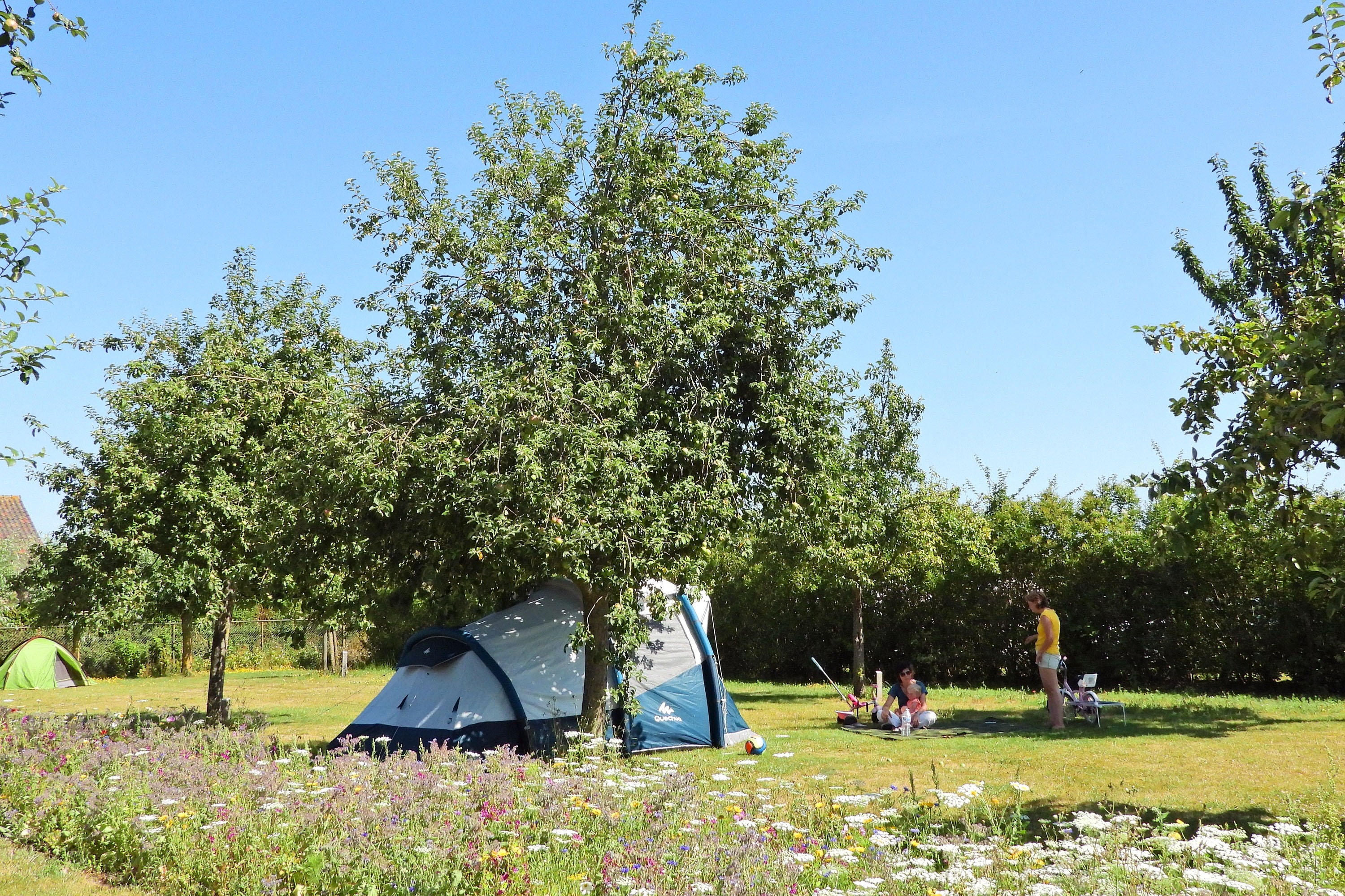 Camping Wulpen