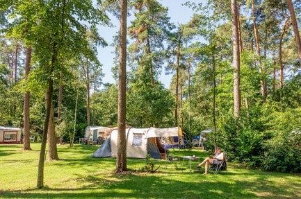 Ardoer Vakantiedorp De Jutberg