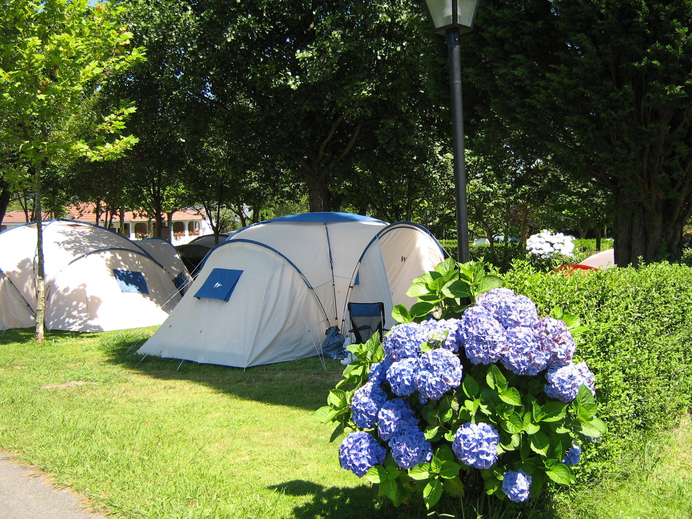wecamp Cudillero