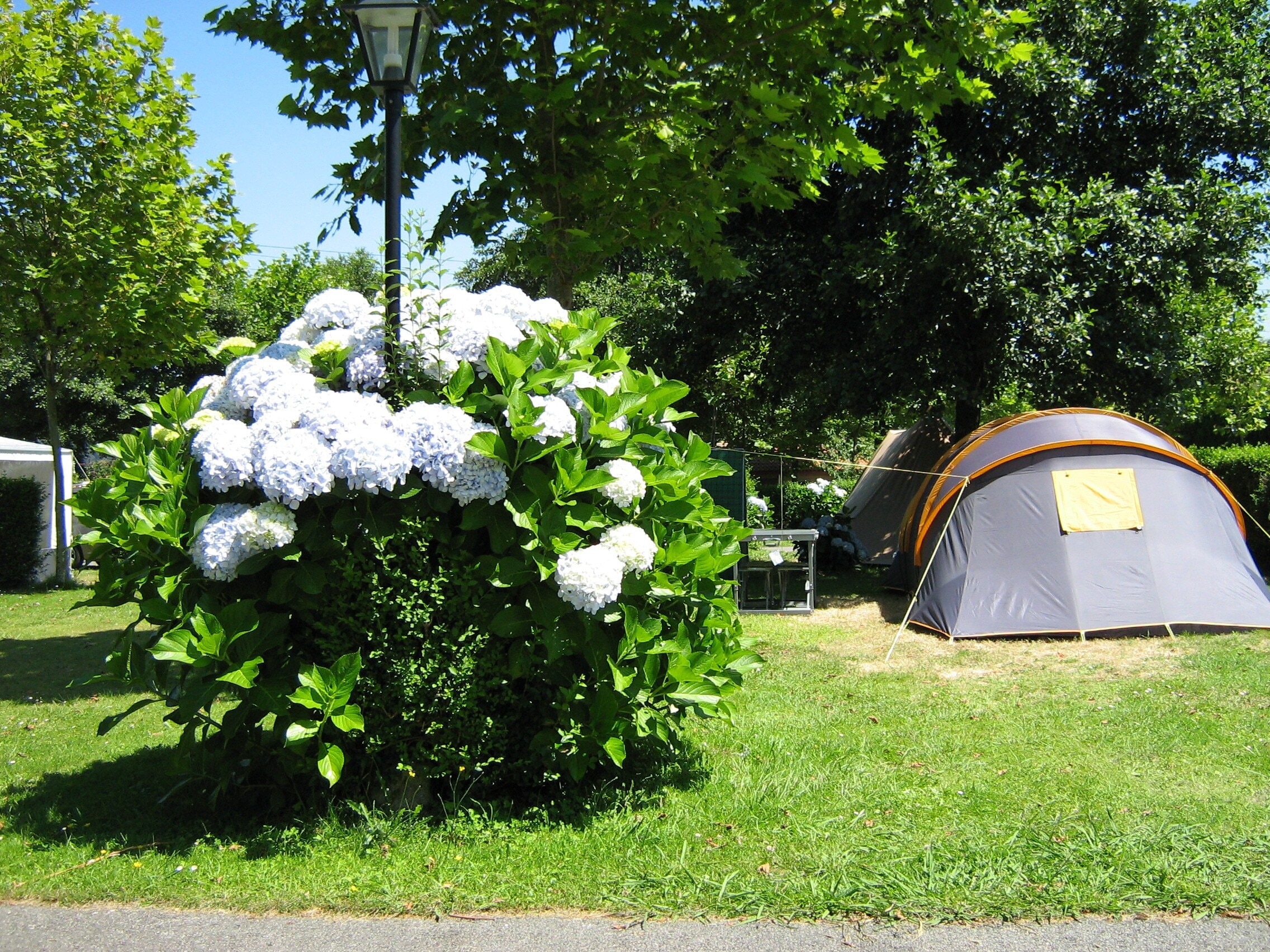 wecamp Cudillero