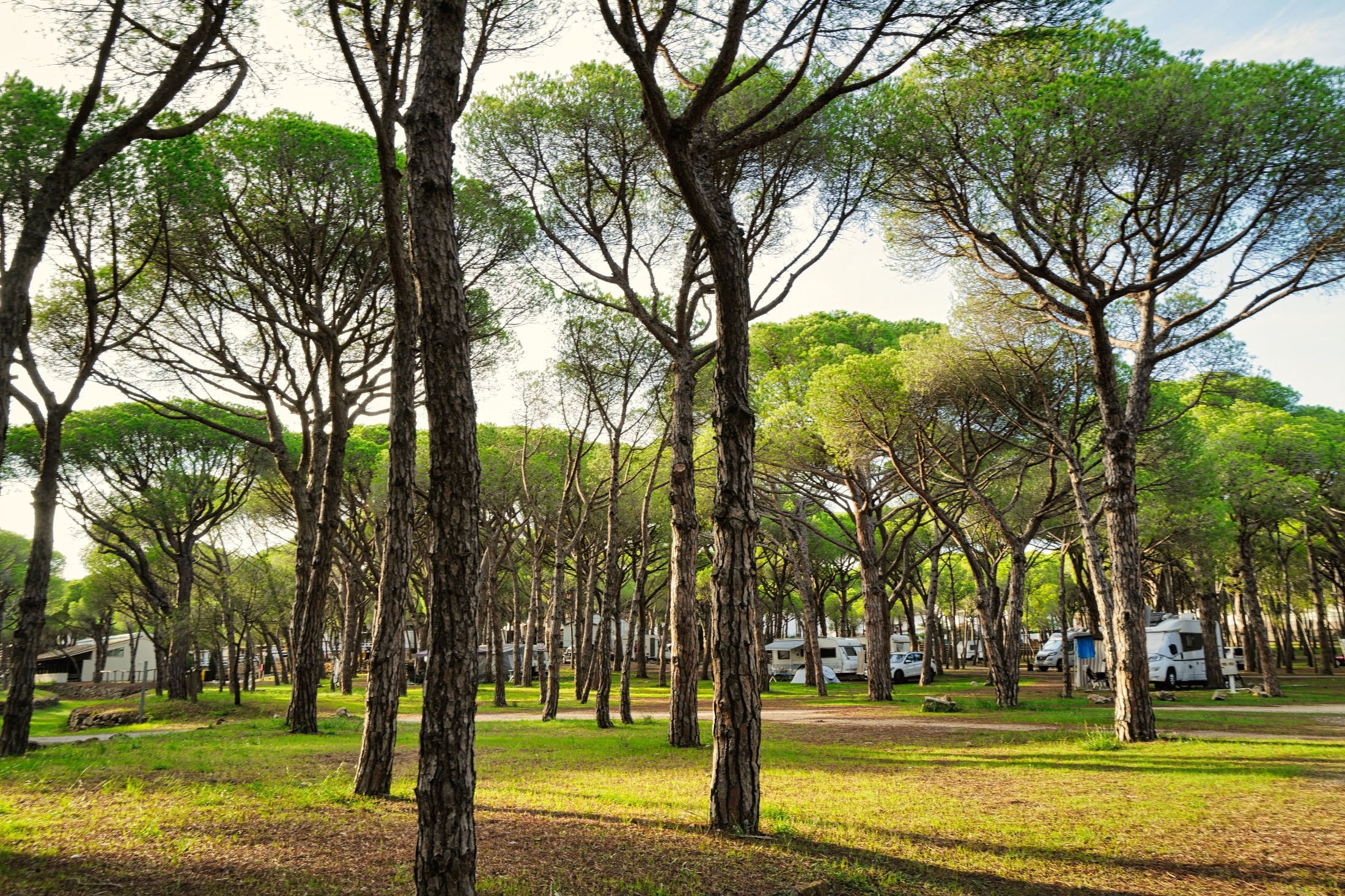 wecamp Cala Montgó