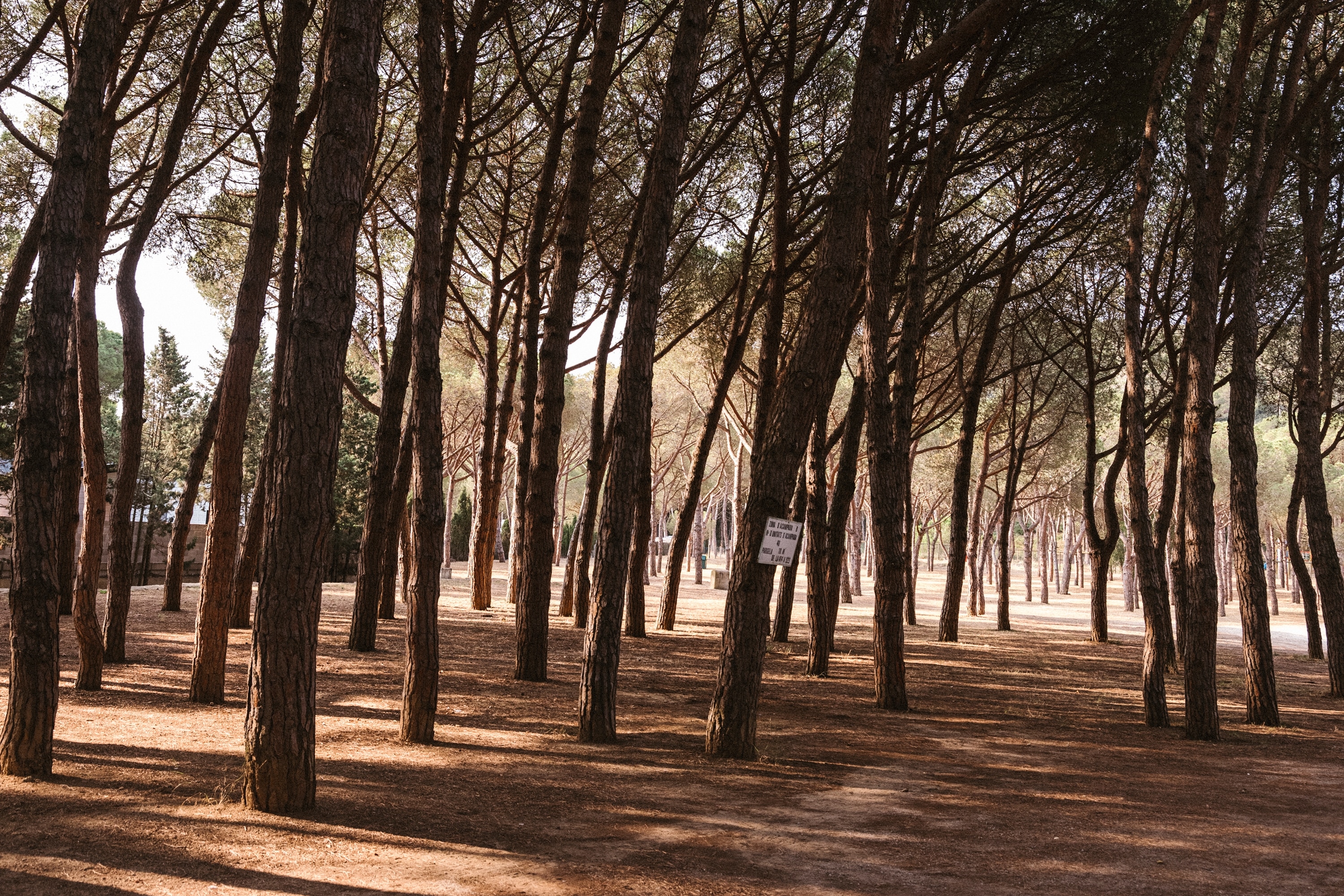 wecamp Cala Montgó