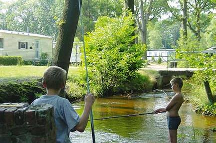 Camping Berkenstrand