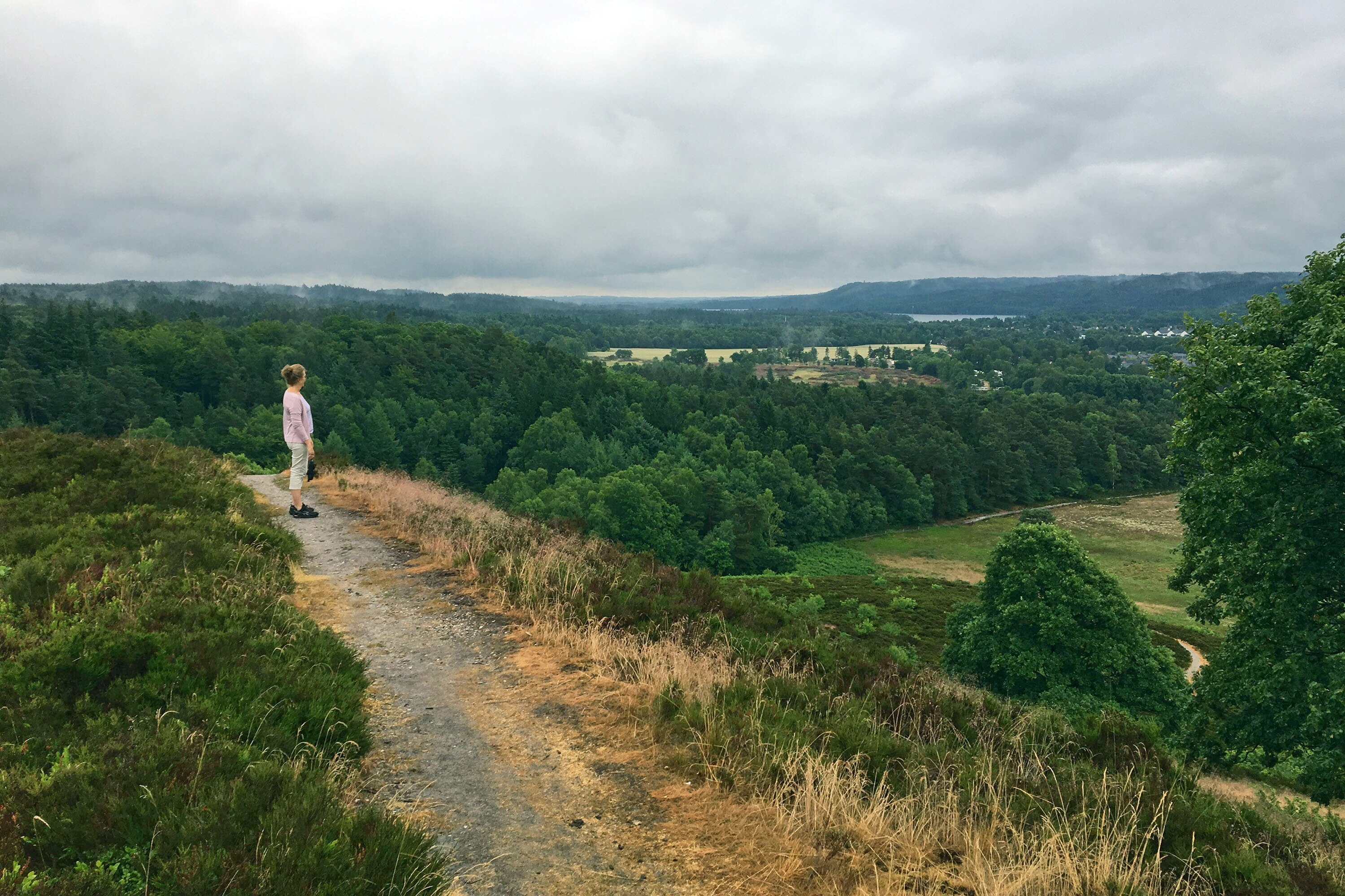 Sejs Bakker Camping