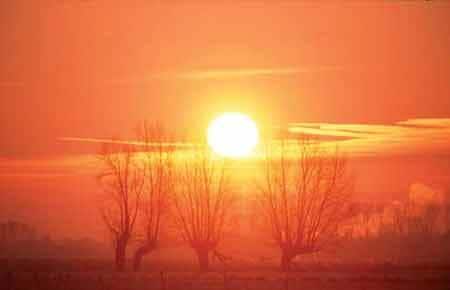 Camping De Wildhoeve