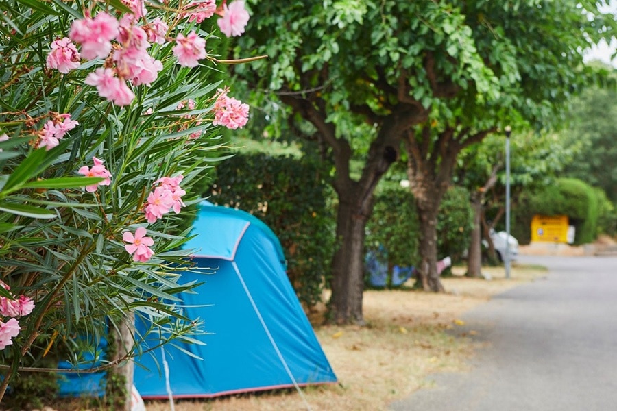 Camping La Paoute