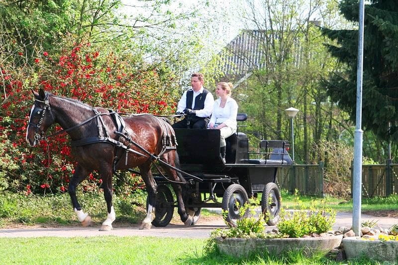 Camping Recreatie Te Boomsgoed