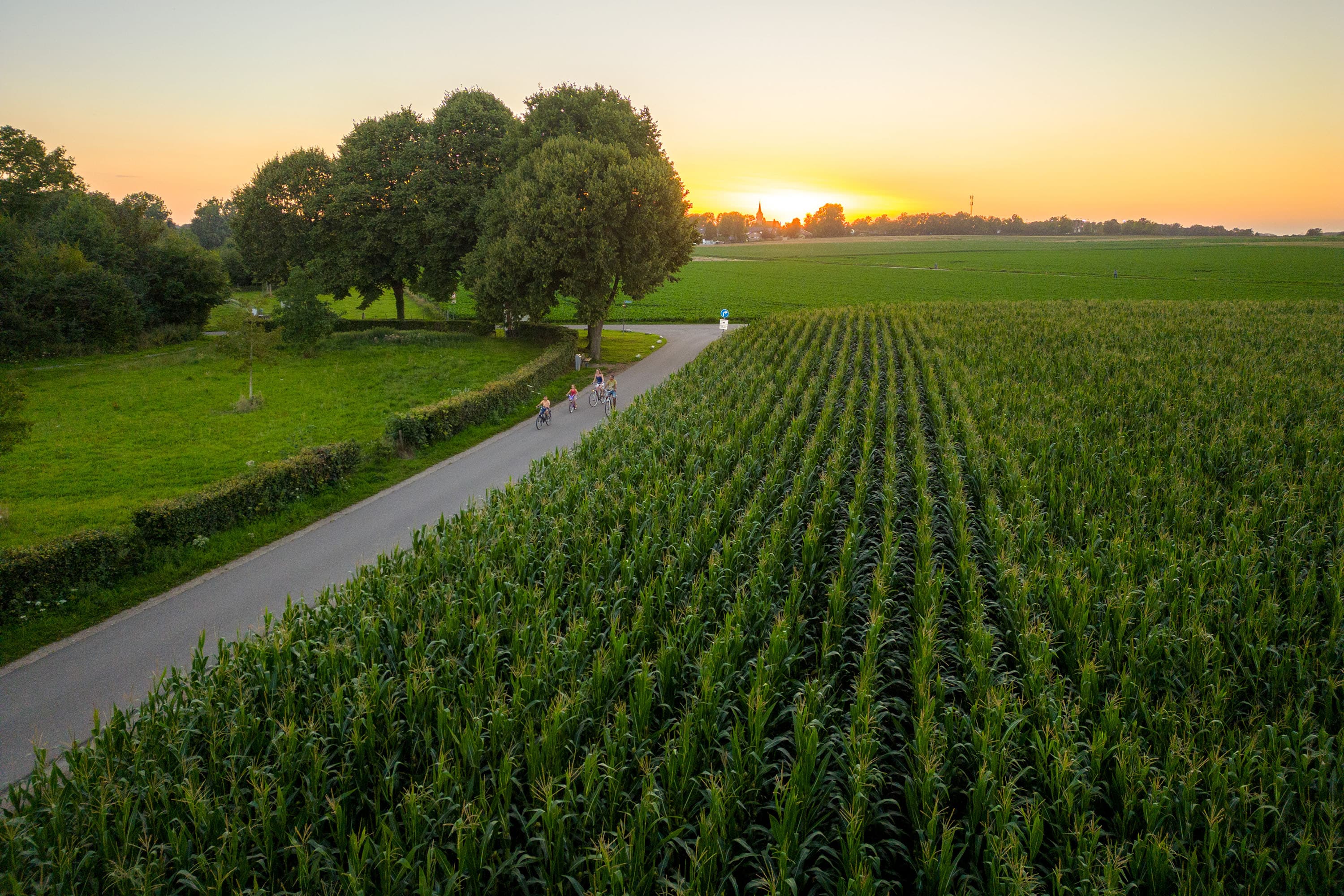 Camping De Watertoren