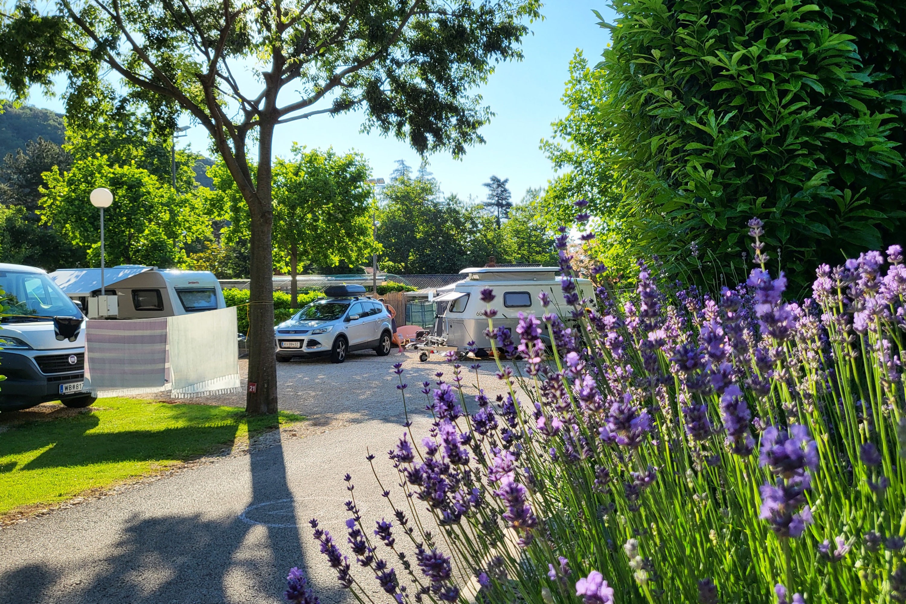 Autocamp Draga