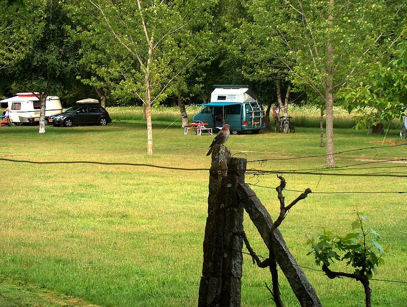 Camping Quinta Chave Grande