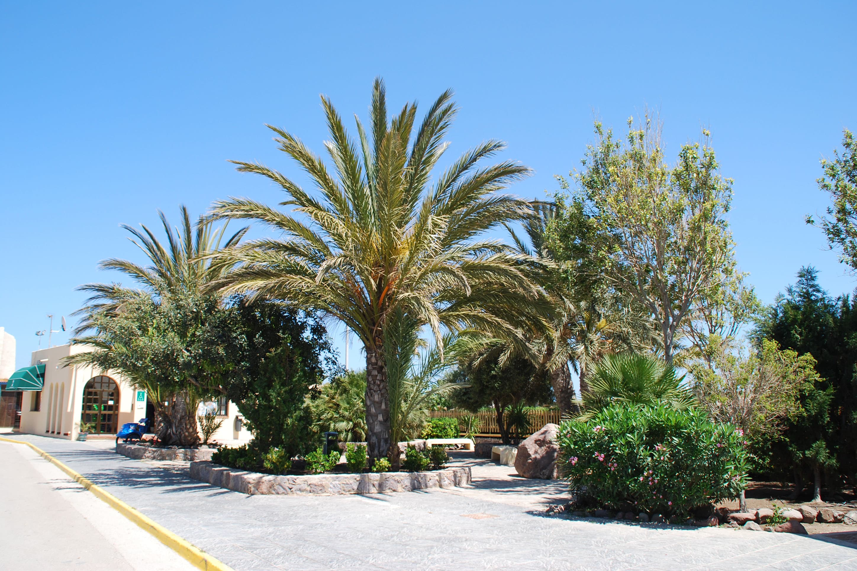 Camping Los Escullos