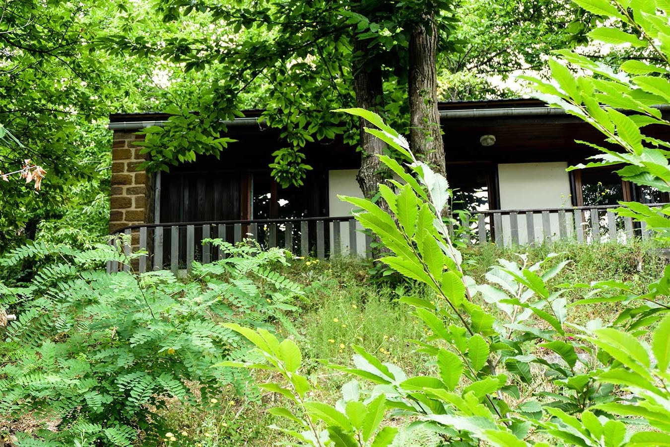 Camping Lac de Villefort